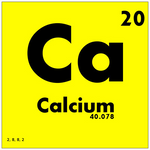 Calcium - how much does your horse need?