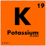 How much potassium does a horse need