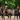 With EquiNectar, The King’s Troop RHA Sets Their Sights on Improved Gut Health