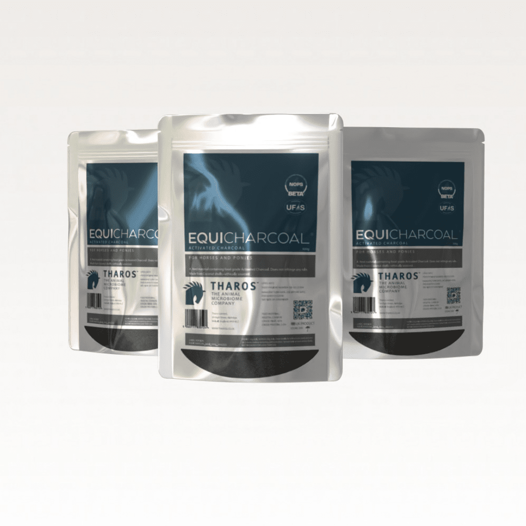 EquiCharcoal